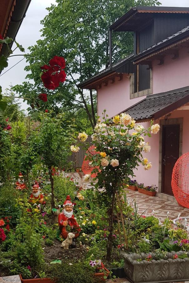 Pensiunea Happy Flowers Greci Εξωτερικό φωτογραφία