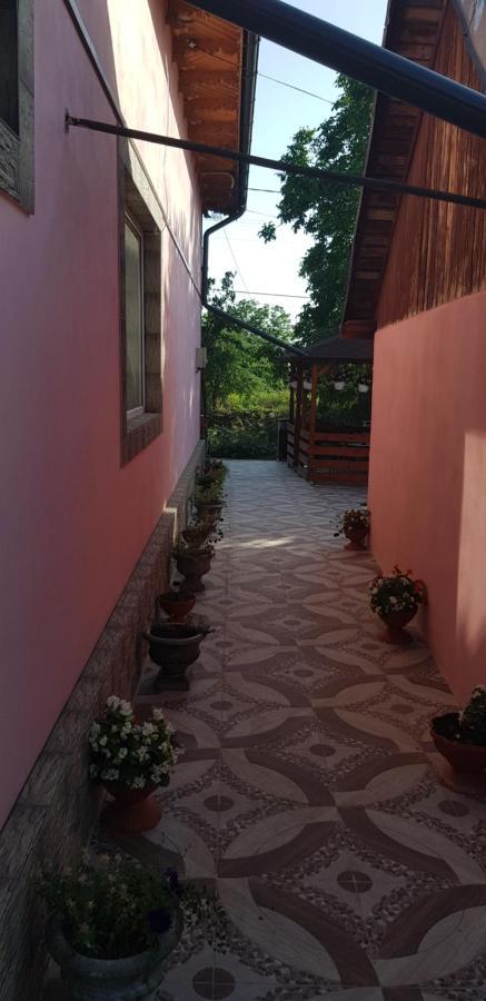 Pensiunea Happy Flowers Greci Εξωτερικό φωτογραφία