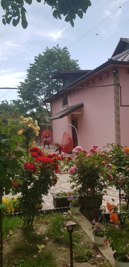 Pensiunea Happy Flowers Greci Εξωτερικό φωτογραφία