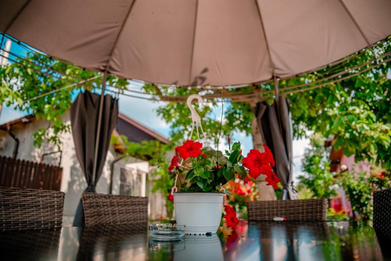 Pensiunea Happy Flowers Greci Εξωτερικό φωτογραφία