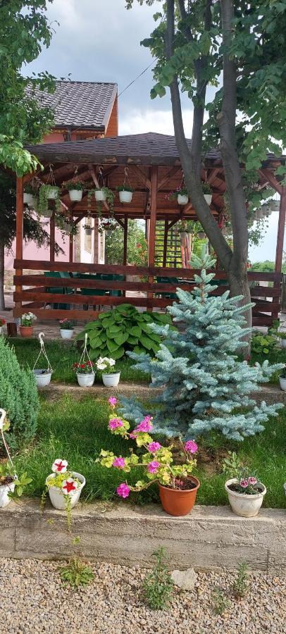 Pensiunea Happy Flowers Greci Εξωτερικό φωτογραφία