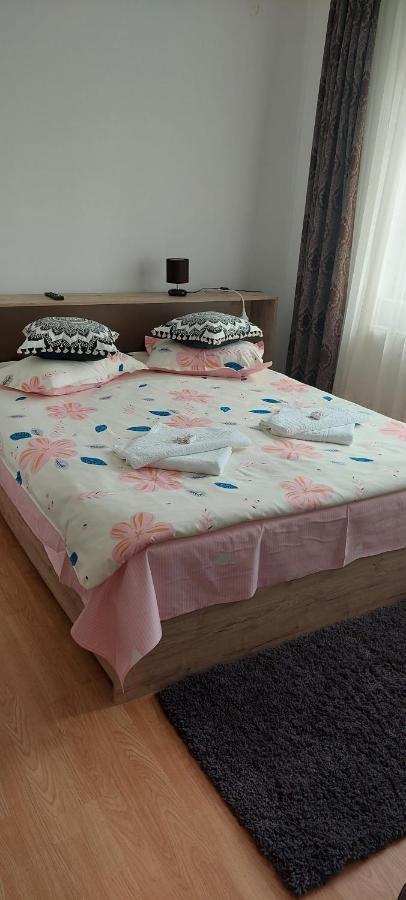 Pensiunea Happy Flowers Greci Εξωτερικό φωτογραφία