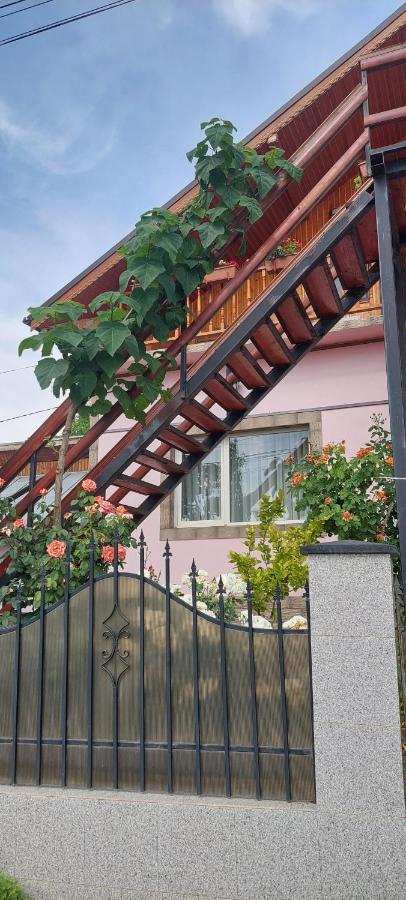 Pensiunea Happy Flowers Greci Εξωτερικό φωτογραφία