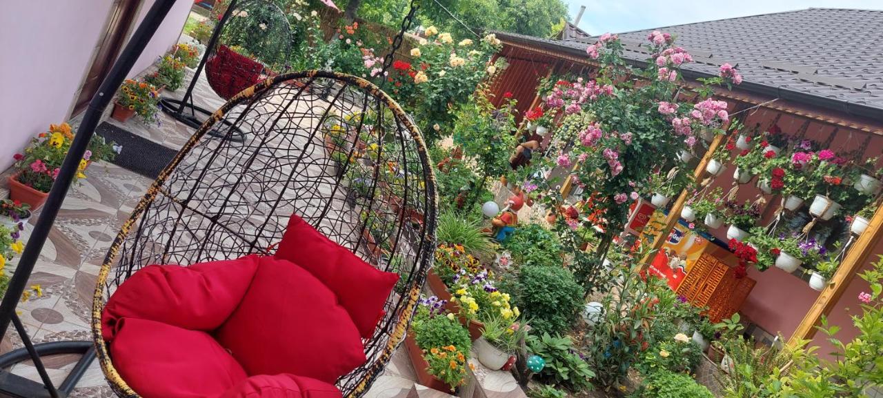 Pensiunea Happy Flowers Greci Εξωτερικό φωτογραφία