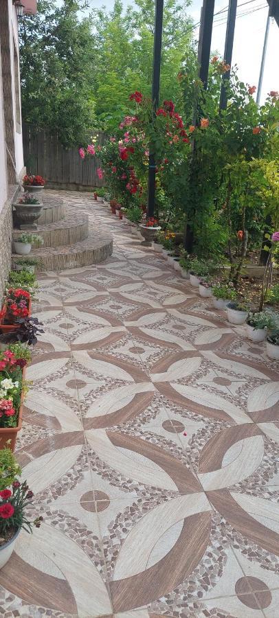 Pensiunea Happy Flowers Greci Εξωτερικό φωτογραφία
