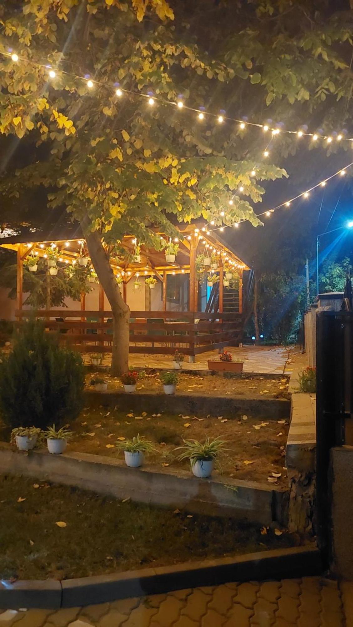 Pensiunea Happy Flowers Greci Εξωτερικό φωτογραφία